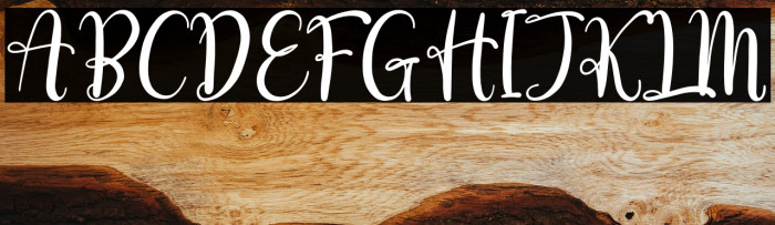 love erlia Example 3