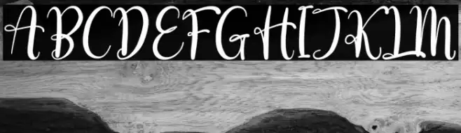 love erlia Font examples