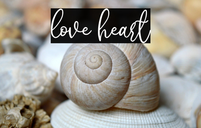 love heart Example 1