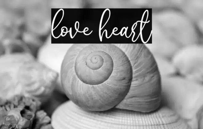 love heart Font examples