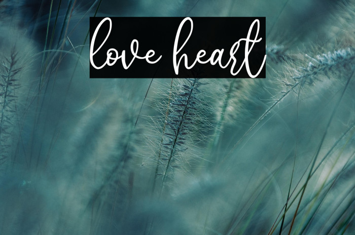 love heart Example 2