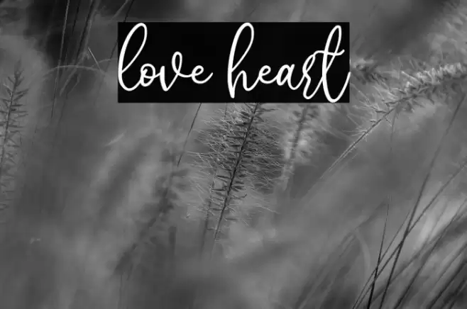love heart Font examples