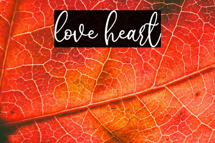 love heart Example 3