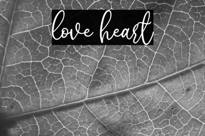 love heart Font examples