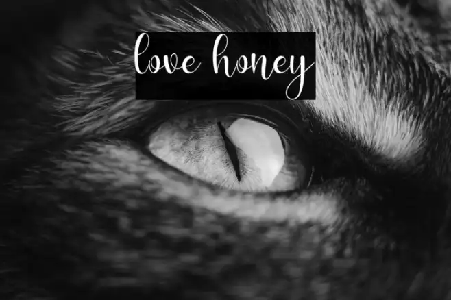 love honey Example 3