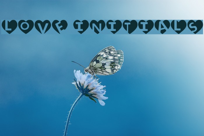 love initials Font examples