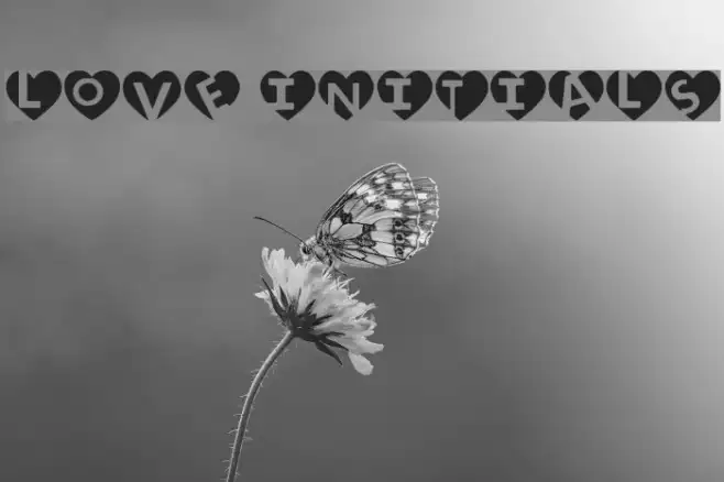 love initials Example 2