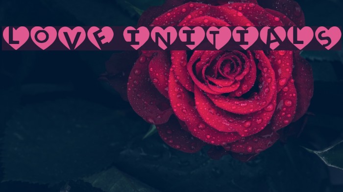 love initials Font examples