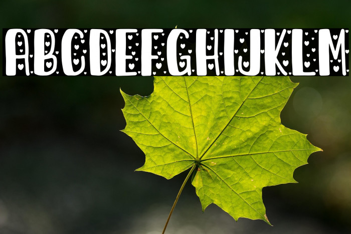 love larry Example 3