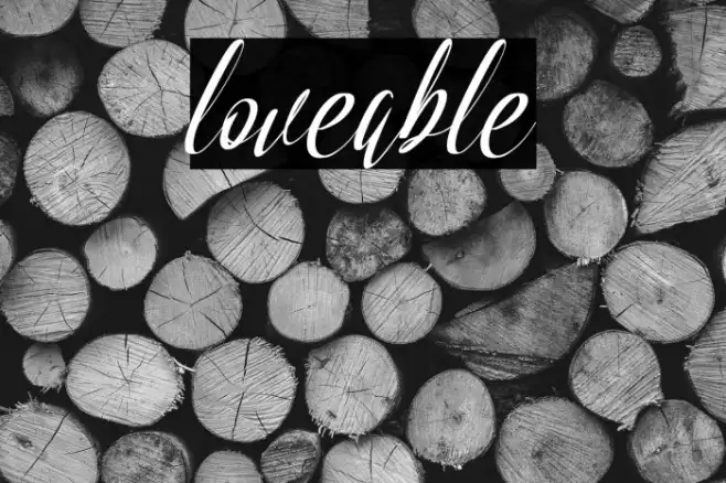 loveable Example 2