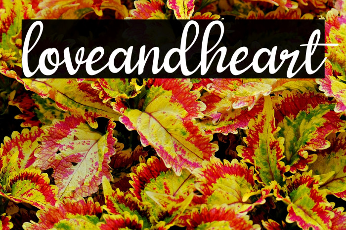 loveandheart Example 1