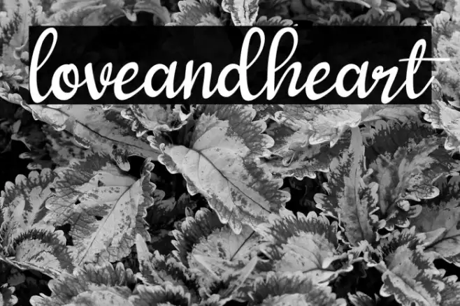 loveandheart Example 1