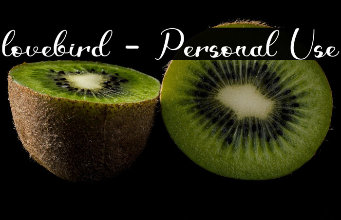 lovebird - Personal Use Example 1