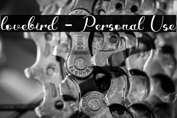 lovebird - Personal Use Example 2