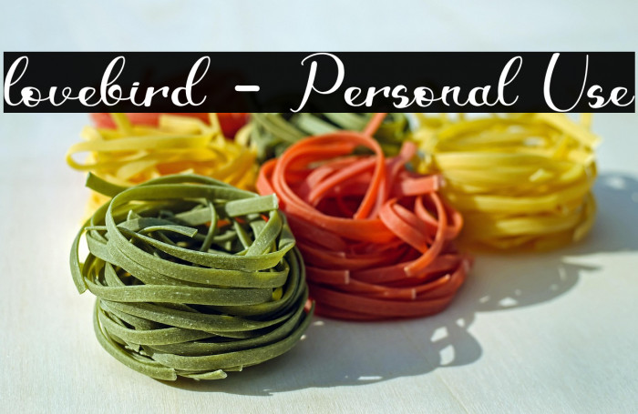 lovebird - Personal Use Example 3