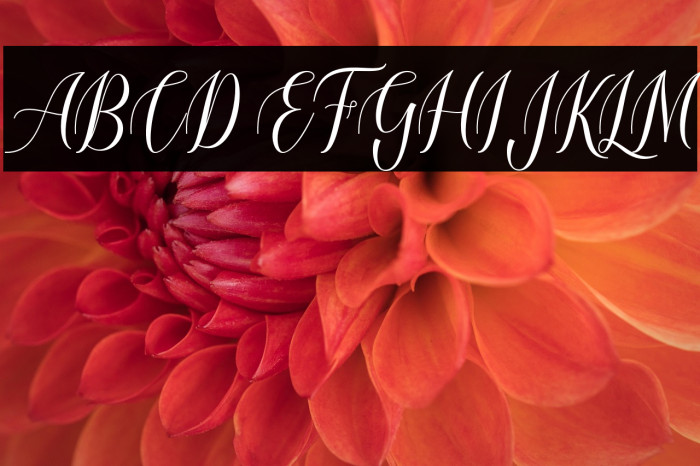 loveheartScript Example 2