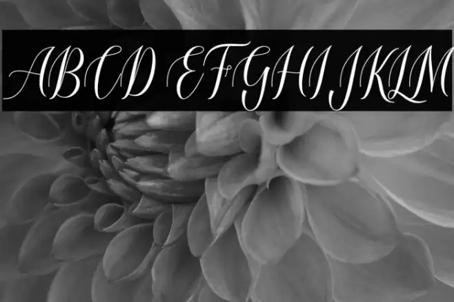 loveheartScript Font examples