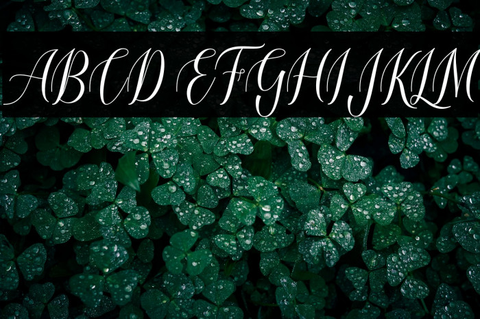 loveheartScript Example 3