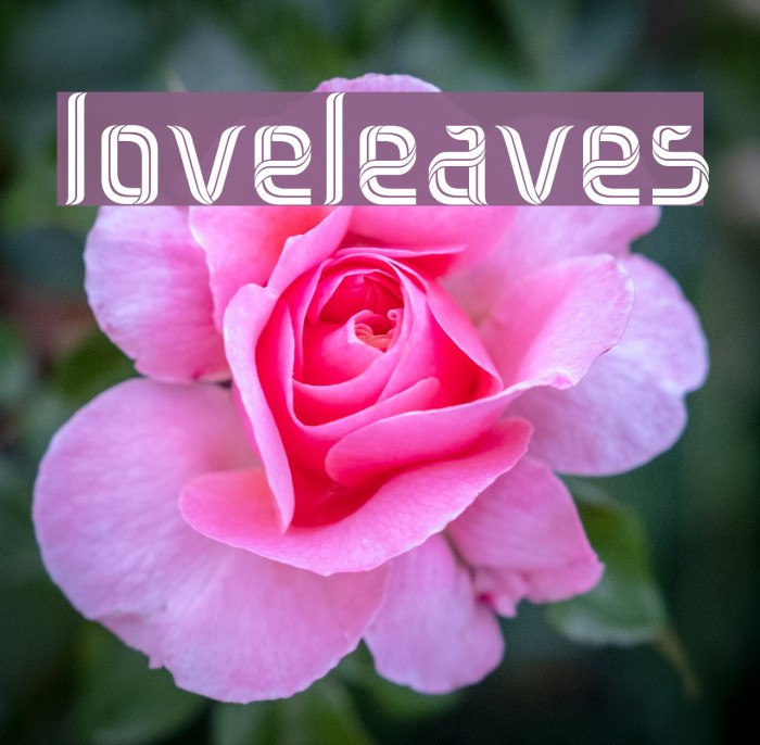 loveleaves Font examples
