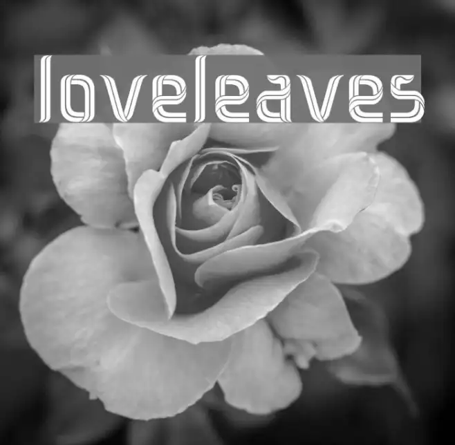 loveleaves Example 1