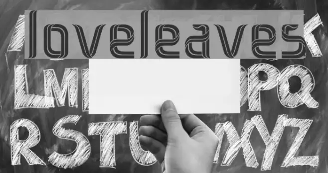 loveleaves Example 3