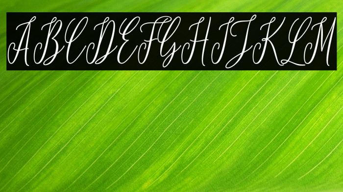 loveliquedemo Example 3