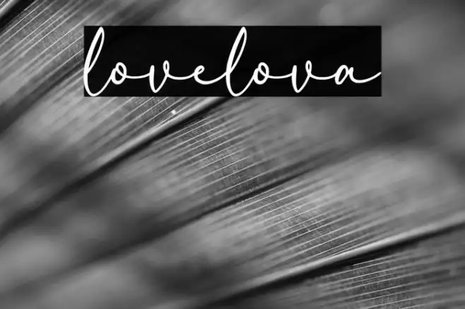 lovelova Example 1