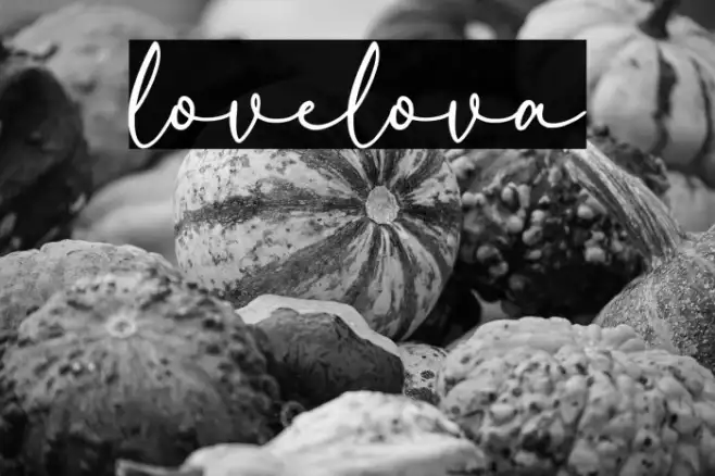 lovelova Example 2