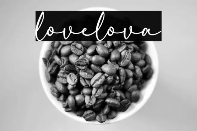 lovelova Example 3