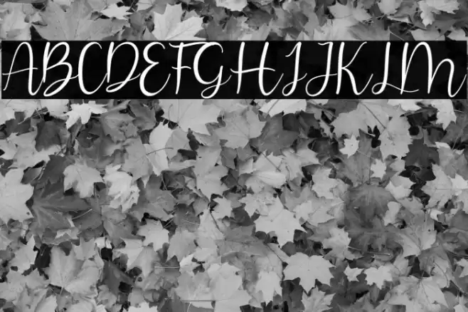 lovelove Font examples