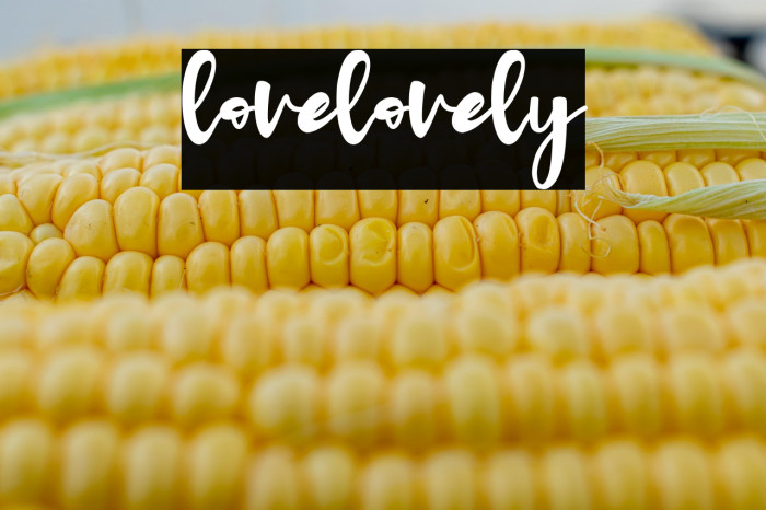 lovelovely Example 1