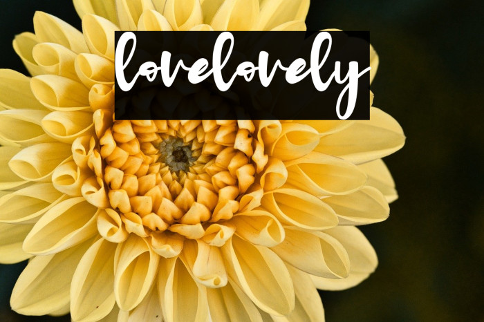 lovelovely Example 2