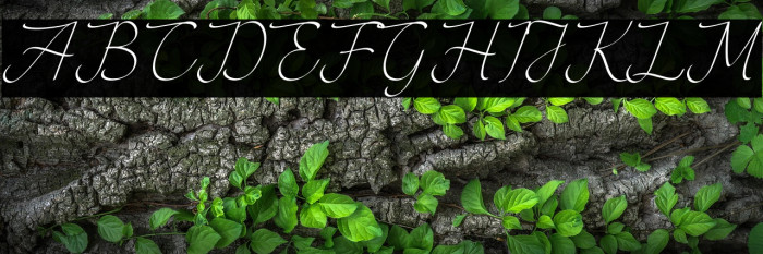 lovely dovely Example 3