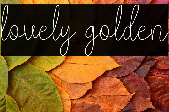 lovely golden Example 1