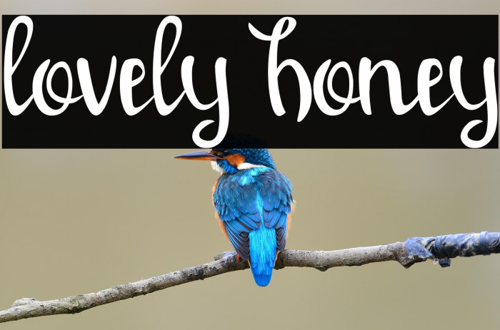 lovely honey Example 1