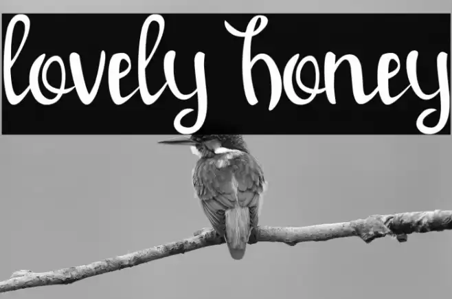 lovely honey Font examples