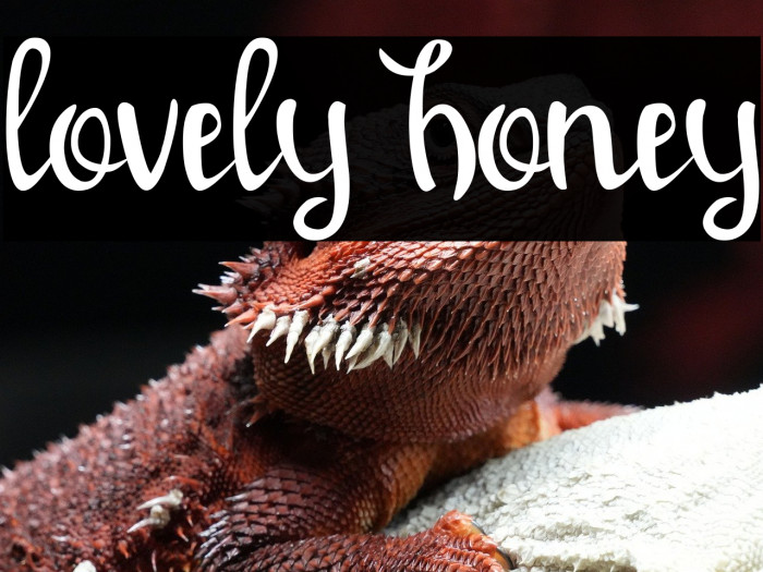 lovely honey Example 2