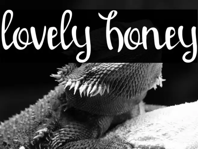 lovely honey Font examples