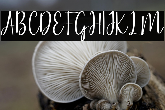 lovely tongue Example 3