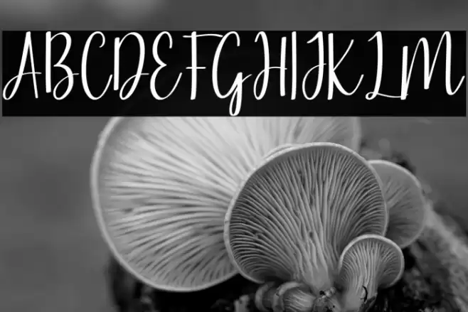 lovely tongue Font examples