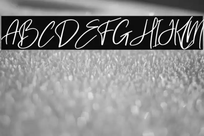 lovelyday Italic Font examples