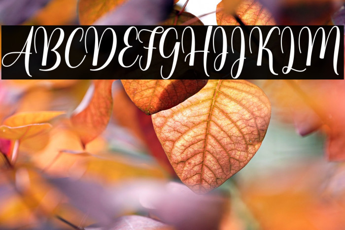 lovelyheart Example 1