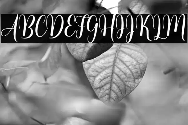 lovelyheart Font examples