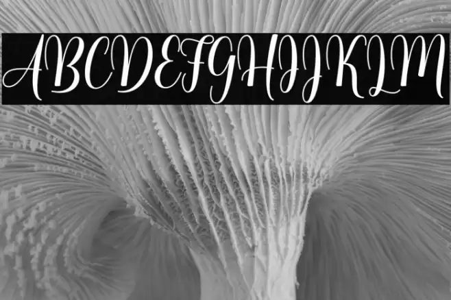 lovelyheart Font examples