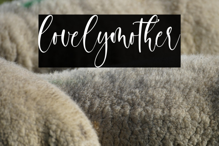 lovelymother Example 3