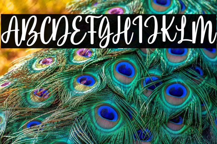 lovesimba-Regular Example 3