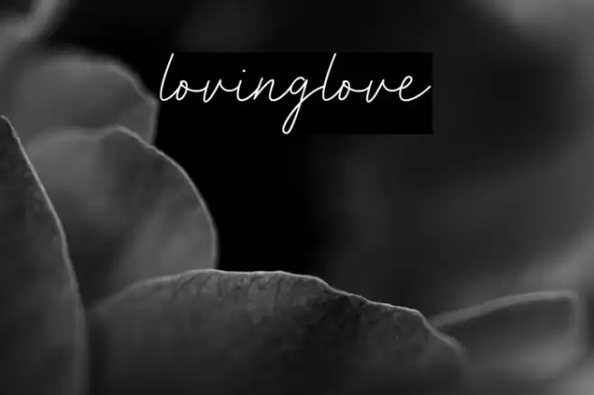 lovinglove Font examples