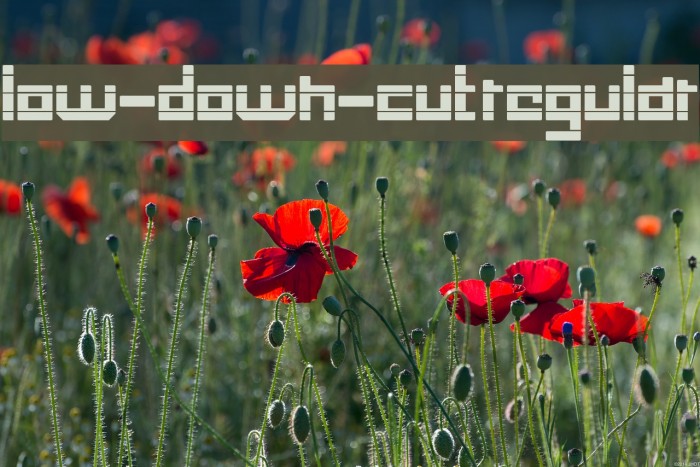 low-down-cut Regular Font examples