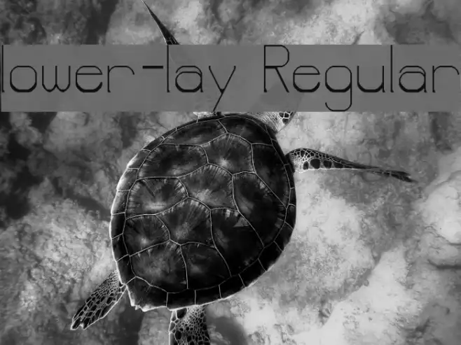 lower-lay Regular Example 1