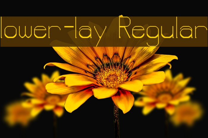 lower-lay Regular Font examples